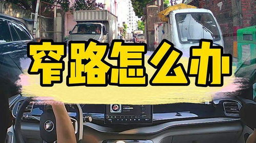 梅县汽车陪练价格多少